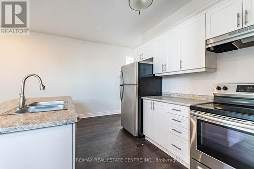 103 Manhattan Court, St. Catharines, ON - Indoor Photo Showing Kitchen With Double Sink