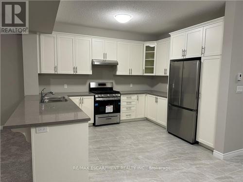 34 Zoe Lane, Hamilton, ON - Indoor Photo Showing Kitchen With Double Sink