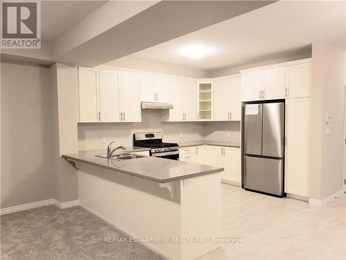 34 Zoe Lane, Hamilton, ON - Indoor Photo Showing Kitchen With Double Sink