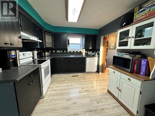 1104 120 Avenue, Dawson Creek, BC - Indoor Photo Showing Kitchen With Double Sink