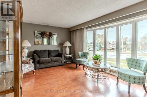 31 Little Avenue, Barrie, ON - Indoor Photo Showing Living Room