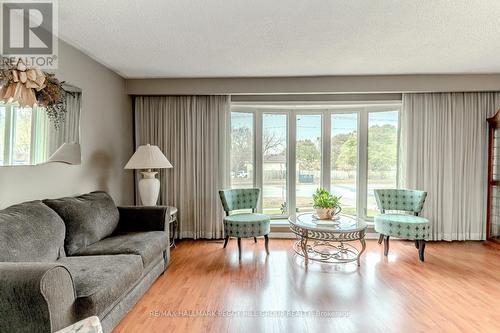 31 Little Avenue, Barrie, ON - Indoor Photo Showing Living Room