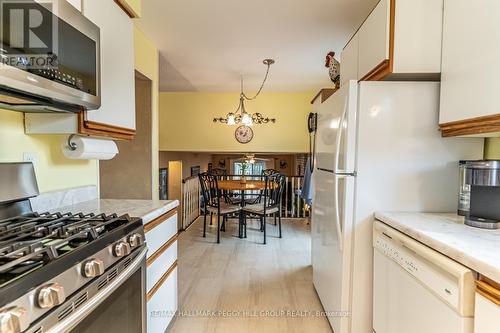 31 Little Avenue, Barrie, ON - Indoor Photo Showing Kitchen