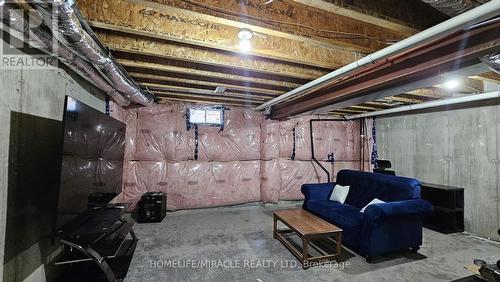 133 Flagg Avenue, Brant, ON - Indoor Photo Showing Basement