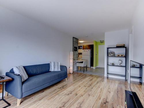 Living room - 304-100 Rue Sacré-Coeur, Longueuil (Le Vieux-Longueuil), QC - Indoor Photo Showing Living Room