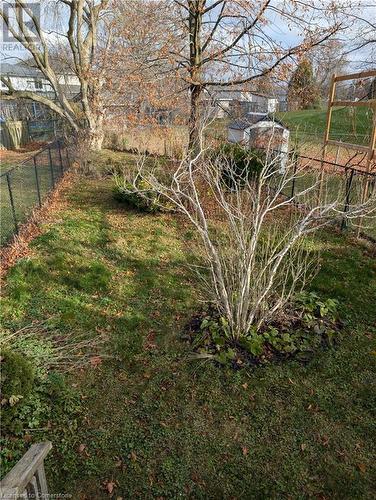 View of yard - 642 Inglis Falls Place, Waterloo, ON - Outdoor