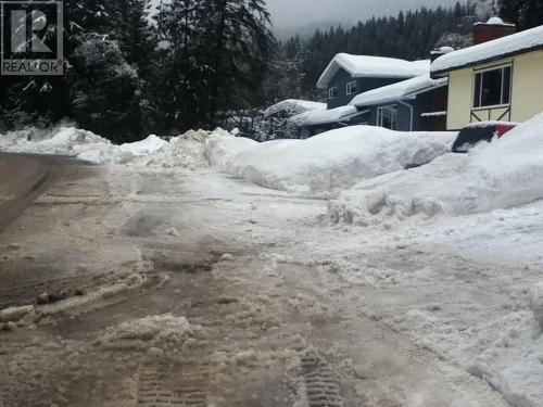 Winter On Street Parking 2 - 162 Pearkes Drive, Revelstoke, BC - Outdoor