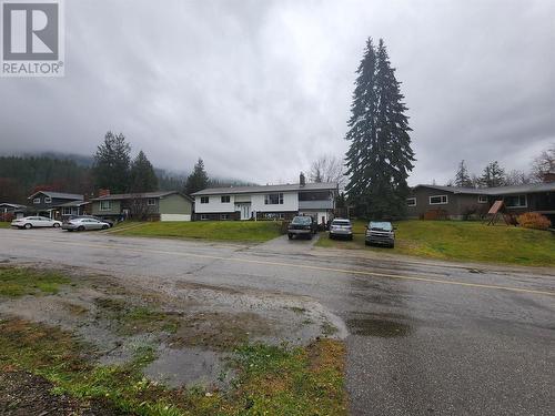 Abundant Parking - 162 Pearkes Drive, Revelstoke, BC - Outdoor