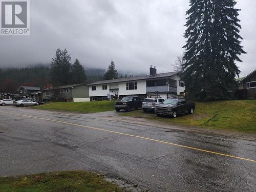 Abundant Parking - 162 Pearkes Drive, Revelstoke, BC - Outdoor