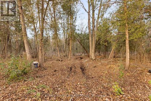 403167 Robinson Road, South-West Oxford, ON - Outdoor With View