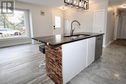 225 Trowbridge Avenue, London, ON - Indoor Photo Showing Kitchen With Upgraded Kitchen