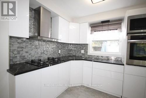 225 Trowbridge Avenue, London, ON - Indoor Photo Showing Kitchen With Upgraded Kitchen