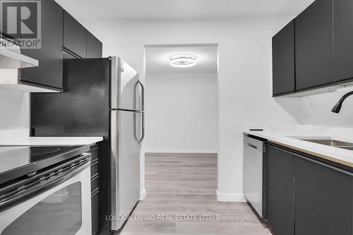 207 - 727 Deveron Crescent, London, ON - Indoor Photo Showing Kitchen