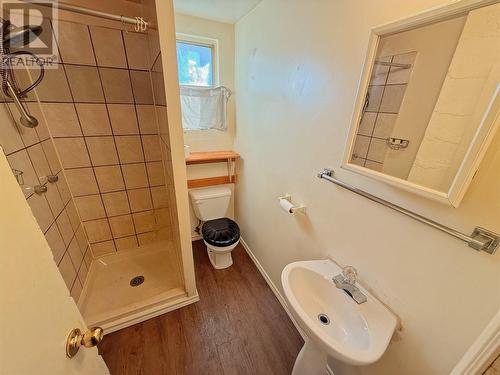 422 Johnson Street, Princeton, BC - Indoor Photo Showing Bathroom