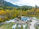 96 Macpherson Street, Revelstoke, BC 