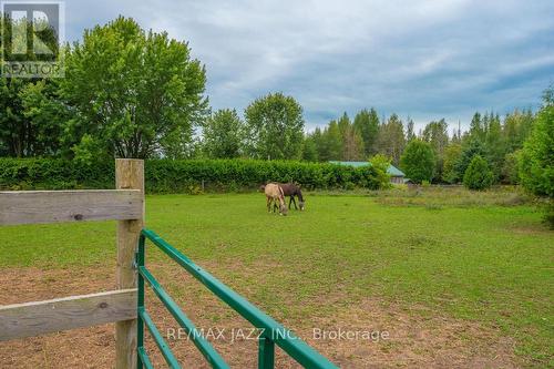 243 Cameron Road, Kawartha Lakes (Cameron), ON - Outdoor