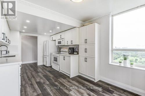 2502 - 195 Wynford Drive, Toronto, ON - Indoor Photo Showing Kitchen