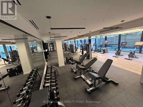 405 - 117 Broadway Avenue, Toronto, ON - Indoor Photo Showing Gym Room