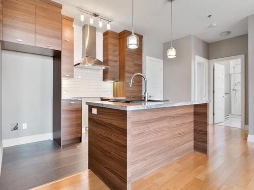 Kitchen - 308-750 Rue Du Docteur-Chevrier, Saint-Lambert, QC - Indoor Photo Showing Kitchen With Upgraded Kitchen