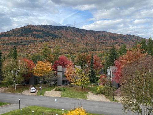 View - 315-201 Rue Du Val-Des-Neiges, Beaupré, QC - Outdoor With View