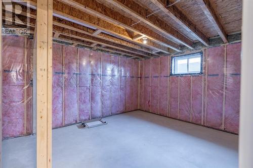 224 Nicholas Street, Sarnia, ON - Indoor Photo Showing Basement