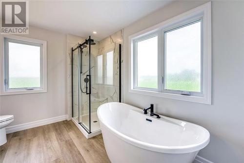 3524 Paul Crescent, Plympton-Wyoming, ON - Indoor Photo Showing Bathroom