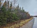 8441 Moose River Road, Lindsay Lake, NS 