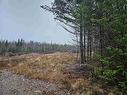 8441 Moose River Road, Lindsay Lake, NS 