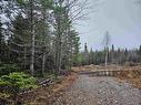 8441 Moose River Road, Lindsay Lake, NS 