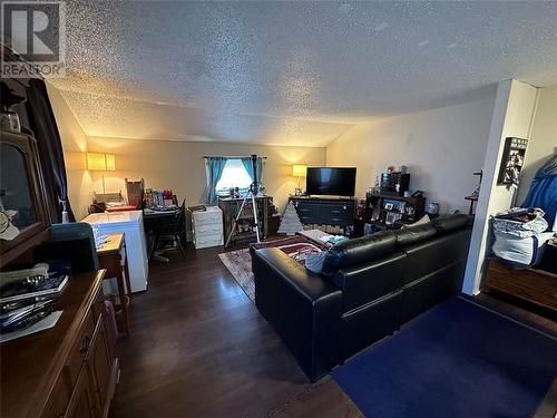 273 Vidal Street North, Sarnia, ON - Indoor Photo Showing Living Room