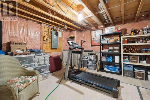 8 Red Leaf Lane, Ridgetown, ON - Indoor Photo Showing Basement