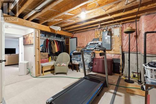 8 Red Leaf Lane, Ridgetown, ON - Indoor Photo Showing Basement