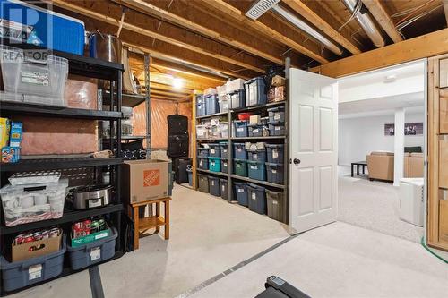 8 Red Leaf Lane, Ridgetown, ON - Indoor Photo Showing Basement