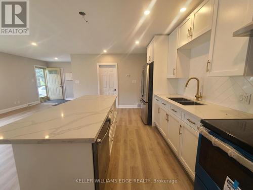 Upper - 10 Sherwood Rise, Hamilton, ON - Indoor Photo Showing Kitchen With Double Sink With Upgraded Kitchen