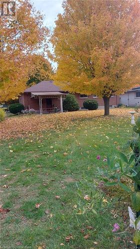 View of Back Yard - 54 Lee Avenue, Simcoe, ON 