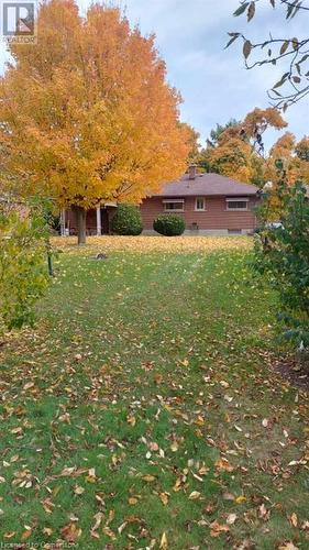 View of Back Yard - 54 Lee Avenue, Simcoe, ON 