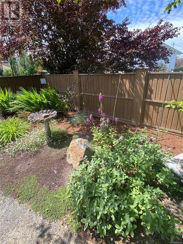 The yard in days past - 10296 Sparling Pl, Sidney, BC 