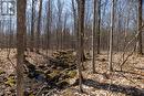 0 Moonstone Road E, Oro-Medonte, ON 