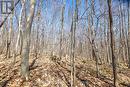 0 Moonstone Road E, Oro-Medonte, ON 