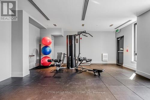 317 - 1440 Clarriage Court, Milton, ON - Indoor Photo Showing Gym Room