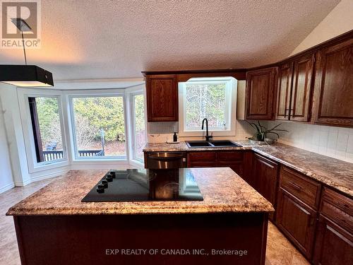 185 Croatia Avenue, Timmins (Gold Centre), ON - Indoor Photo Showing Kitchen With Double Sink