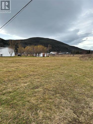 19A Duke Street, Trout River, NL 