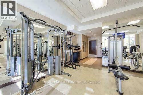 1509 - 56 Annie Craig Drive, Toronto, ON - Indoor Photo Showing Gym Room