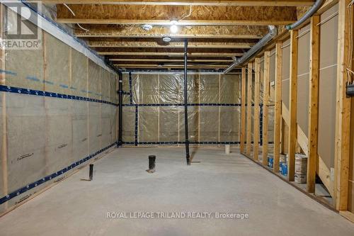 16 Ashberry Place, St. Thomas, ON - Indoor Photo Showing Basement