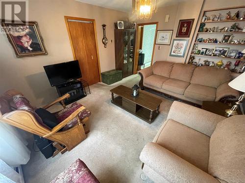 25 Patrick Street, Grand Falls Windsor, NL - Indoor Photo Showing Living Room