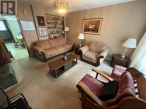 25 Patrick Street, Grand Falls Windsor, NL - Indoor Photo Showing Living Room