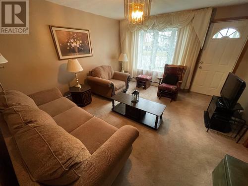 25 Patrick Street, Grand Falls Windsor, NL - Indoor Photo Showing Living Room