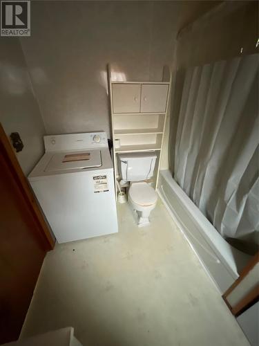 25 Patrick Street, Grand Falls Windsor, NL - Indoor Photo Showing Laundry Room