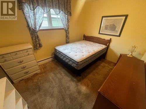 25 Patrick Street, Grand Falls Windsor, NL - Indoor Photo Showing Bedroom