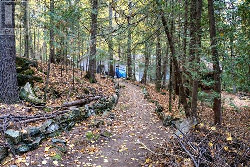 1340 Cannon Trail, North Frontenac (Frontenac North), ON - Outdoor With View